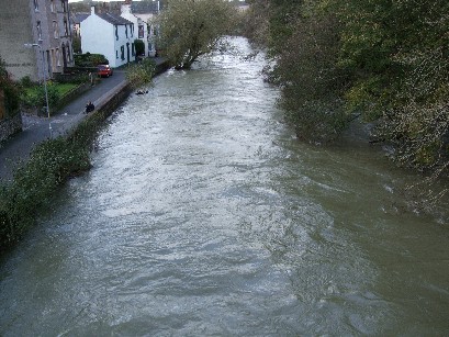 River Cocker alongside Rubby Banks Road