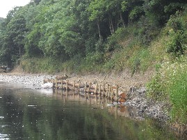 Wood Bottom Riverbank Maintenance